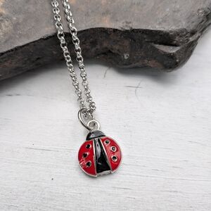 Red and Black Ladybug Pendant Necklace
